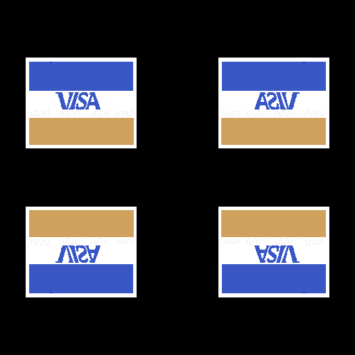 visa1